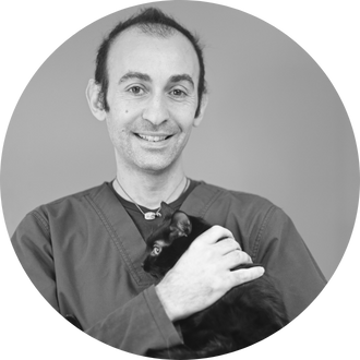 Dr Lorenzo Scarcella