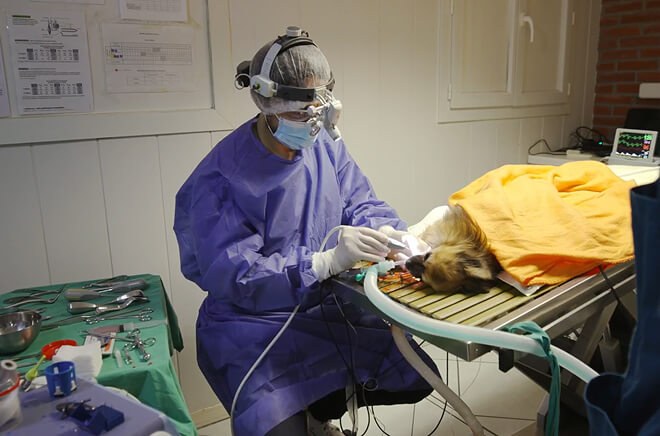 HB-Chirurgie Chirurgie et hospitalisation