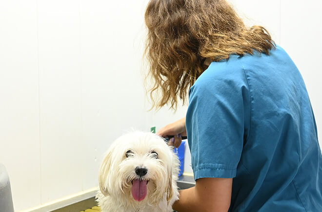 HB-Conseils Conseil et suivi personnalisé