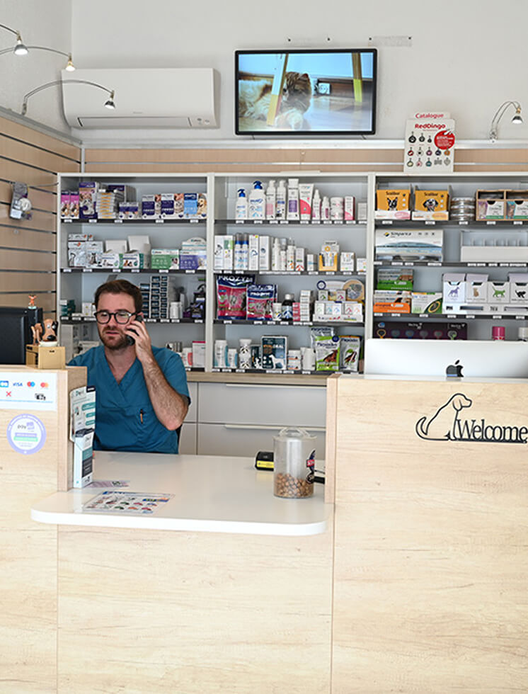 Contactez votre vétérinaire à Six Fours les Plages 