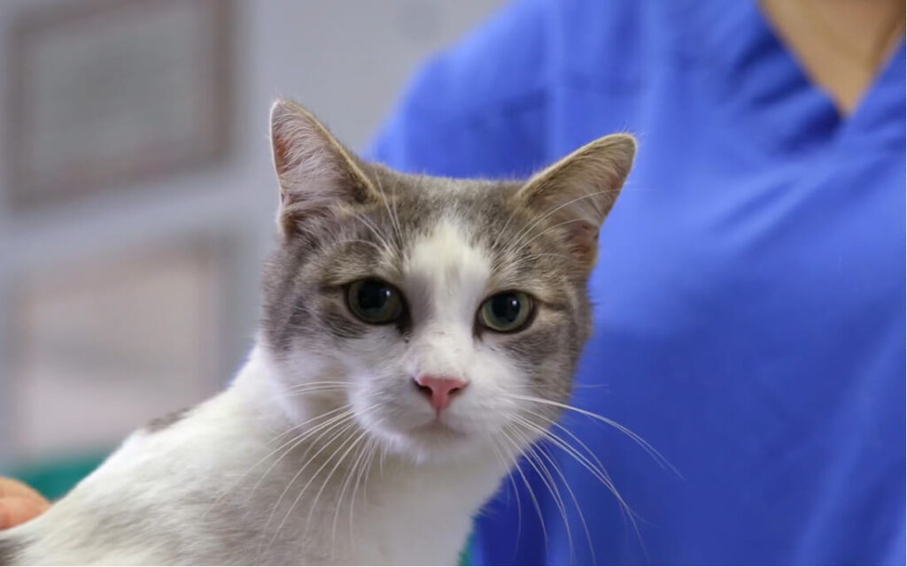 RDV - Rendez-vous en ligne